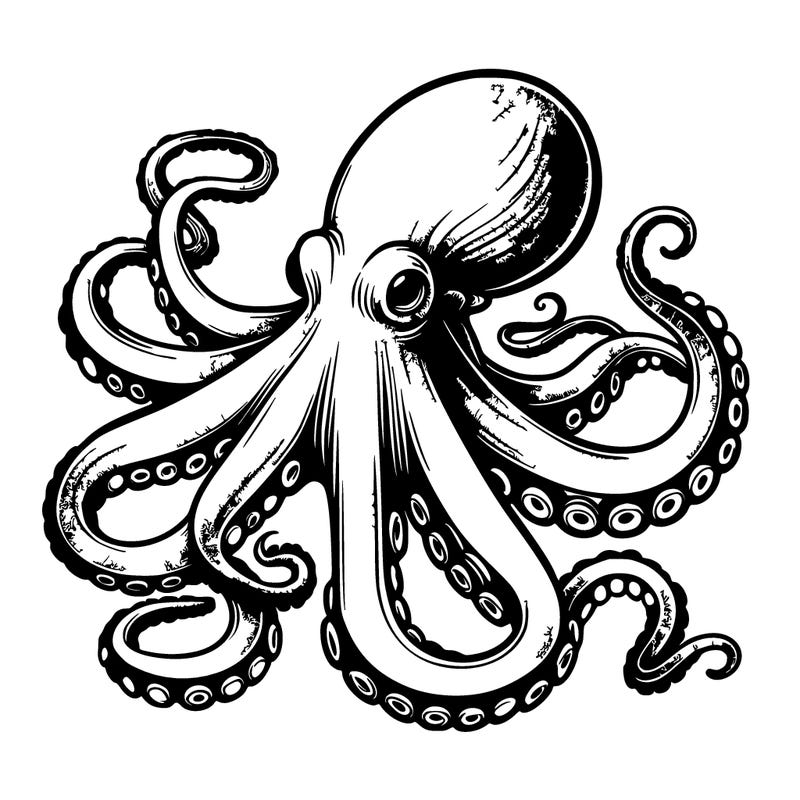 realistic octopus