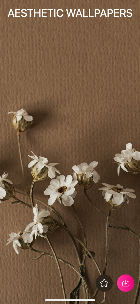 VIBE 4K Wallpapers Cool Screen - Aesthetic wallpaper showing white flowers on a textured brown background