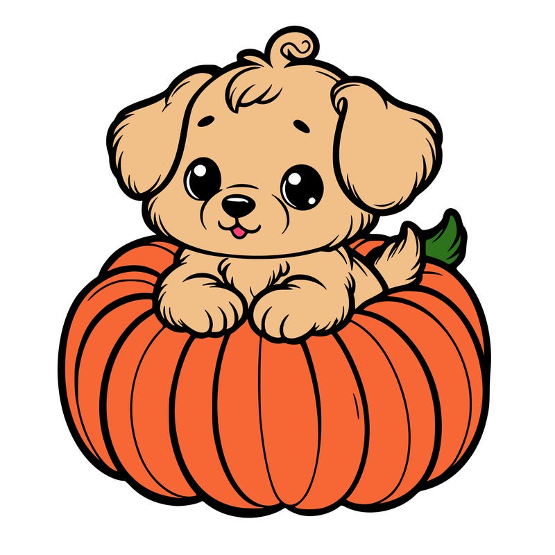 cute little puppy in a pumpkin
