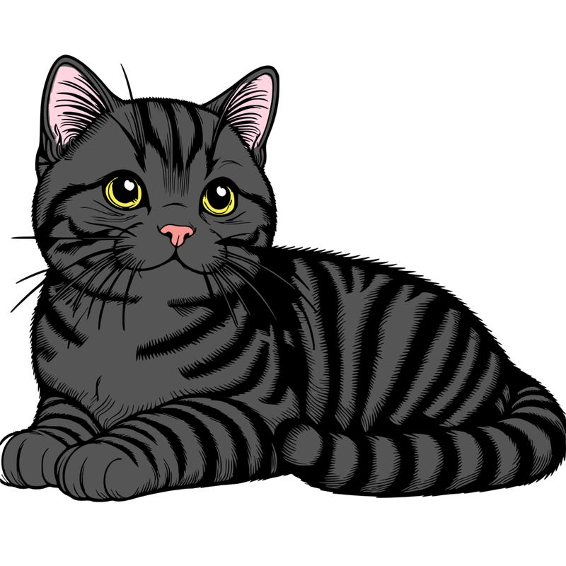 realistic cat tabby