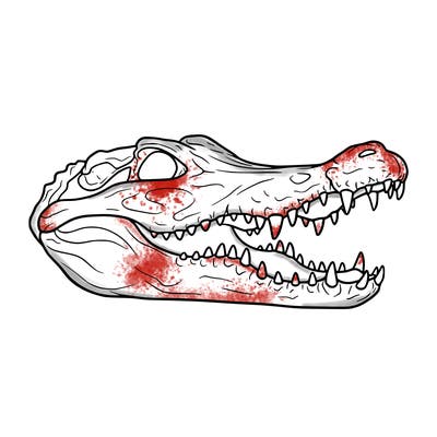 crocodile skull