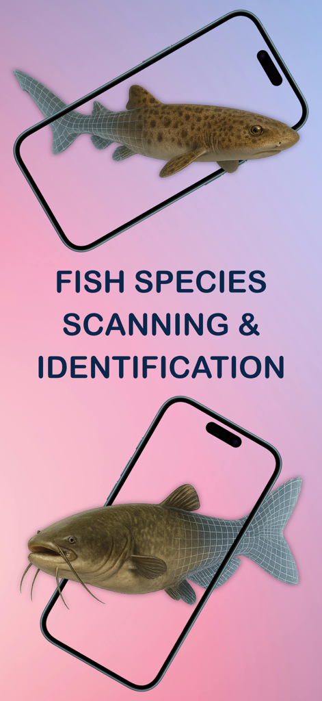 Marine Biology - Identify Fish - Two iPhones displaying fish species scanning and identification with a leopard shark and a catfish