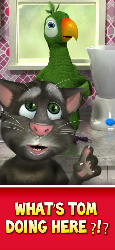 Talking Pierre the Parrot and Talking Tom the cat together in a kitchen