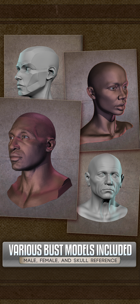 Handy Art Reference Tool - A collection of 3D head bust models for male and female anatomical art reference