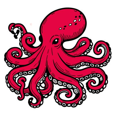 octopus