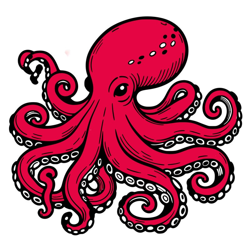 octopus