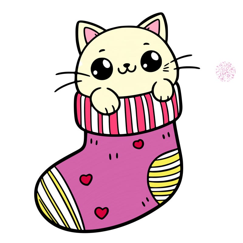cute cat in a sock