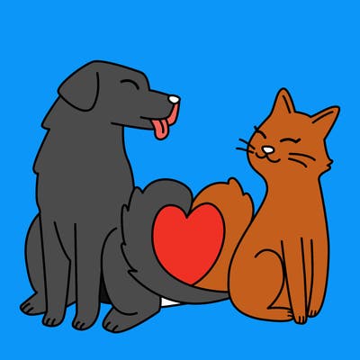animals_22
