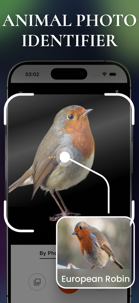 Animal Sound Identifier AI app screen identifying a European Robin from a photo