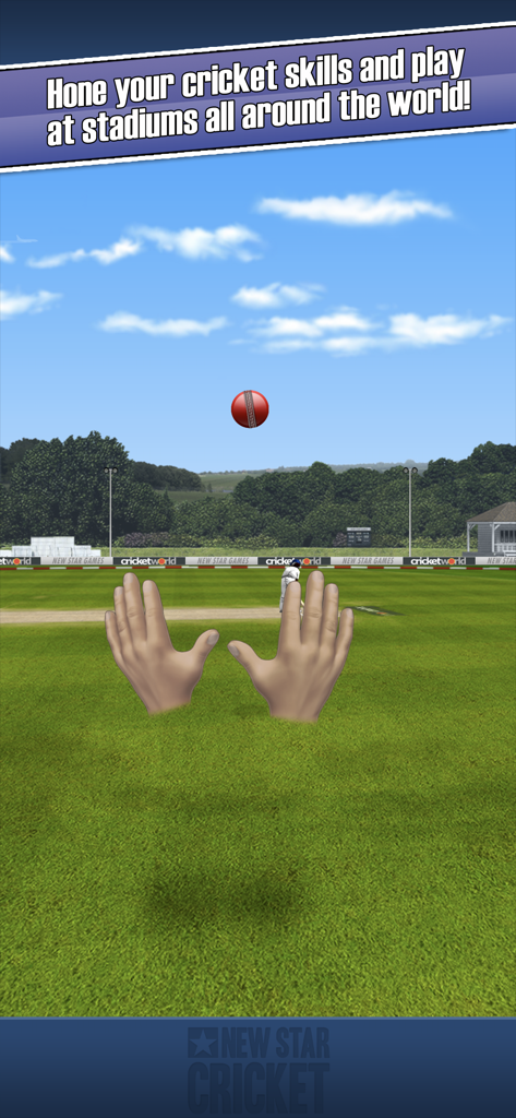 Vista en primera persona de atrapar una pelota de críquet en New Star Cricket