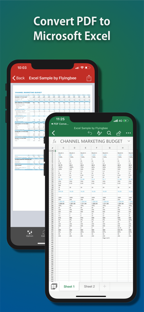 PDF Converter - Flyingbee - Mobile App-Oberfläche, die zeigt, wie ein PDF-Dokument auf einem iPhone in eine Microsoft Excel-Tabelle konvertiert wird.