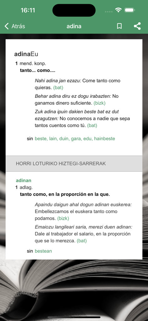 Labayru Hiztegia - Entrada del diccionario para la palabra vasca 'adina' con traducciones al español y ejemplos en dialectos estándar y vizcaíno.