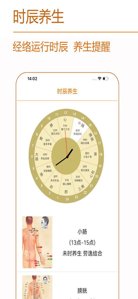 A TCM circadian meridian clock and anatomical body charts shown in the Meridian Health Blue Crane app.