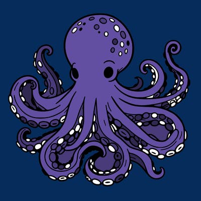 octopus