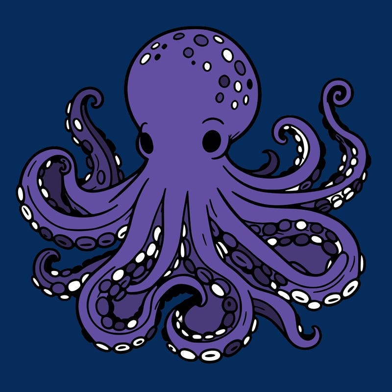 octopus