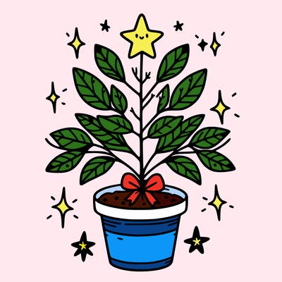 christmas plant