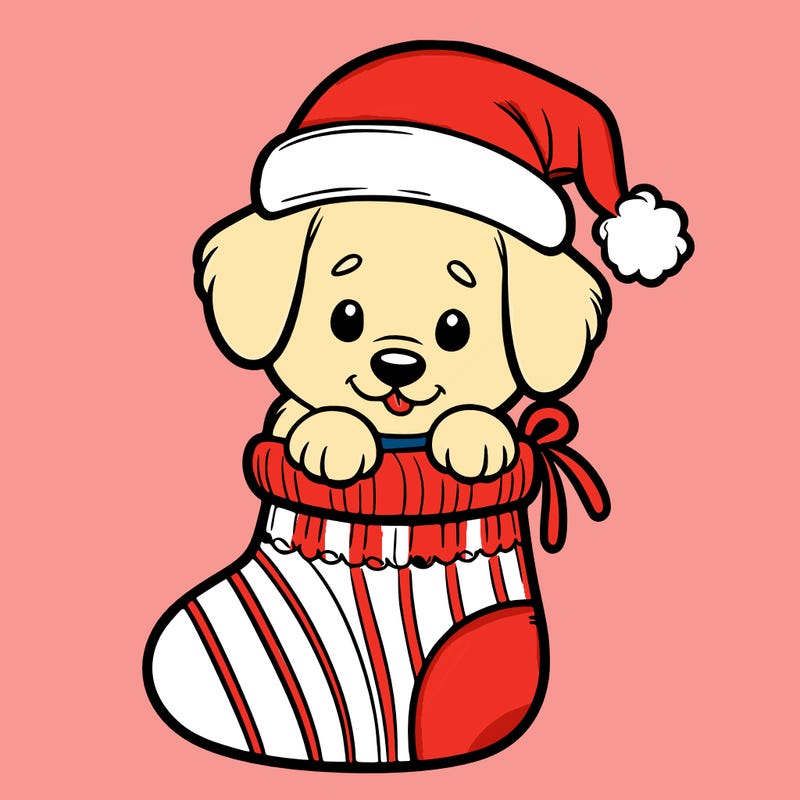 cute puppy wearing santa hat in socking