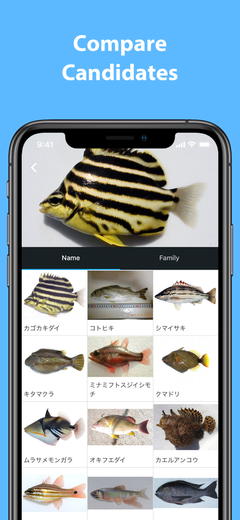 Mikke Fish ID - Mikke Fish ID app interface displaying a fish photo comparison against a list of AI suggested species candidates