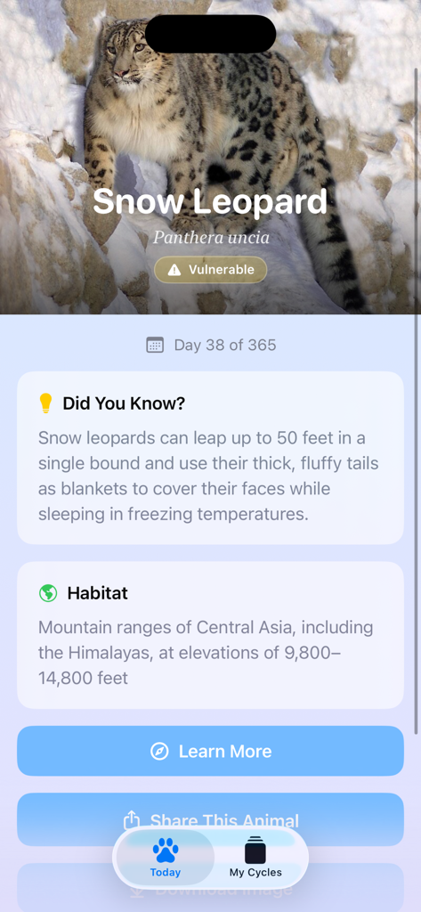Fauna: Daily Animal Widget - A screen from the Fauna app displaying details about a snow leopard including its habitat and a fun fact.