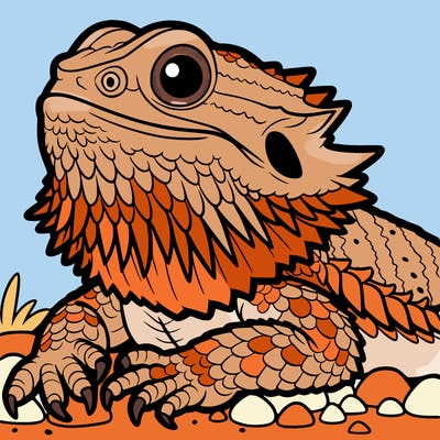 bearded dragon