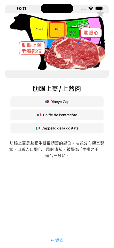 美食圖語 - Diagramma di un taglio di manzo ribeye cap con traduzioni in inglese, francese e italiano