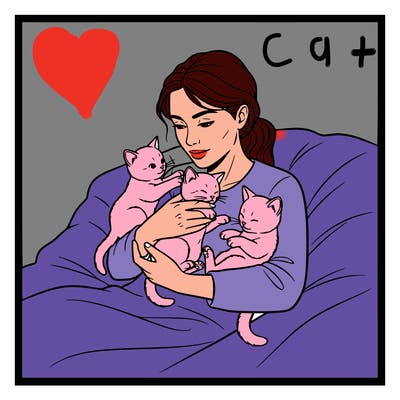 three kitties in a lady's arms