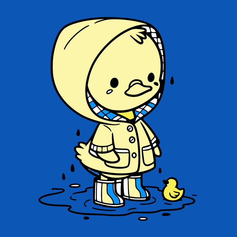 baby duck in a rain coat and boots, in a puddle while it’s raining