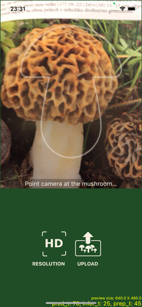 Mushrooms app - Mushrooms appのカメラインターフェース、光学認識を使用してキノコを識別しています