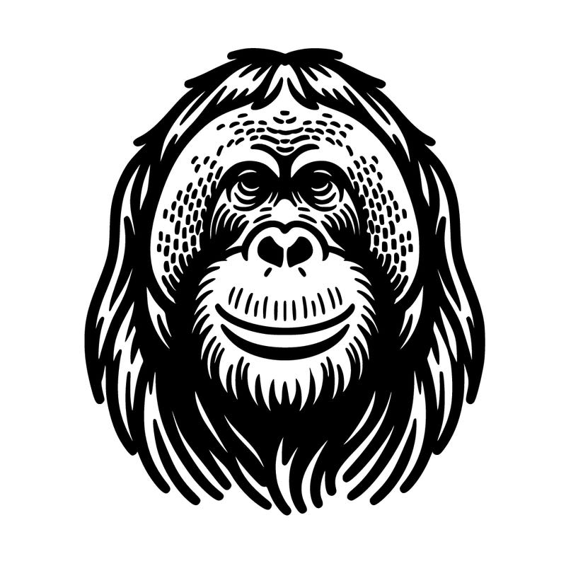 orangutan