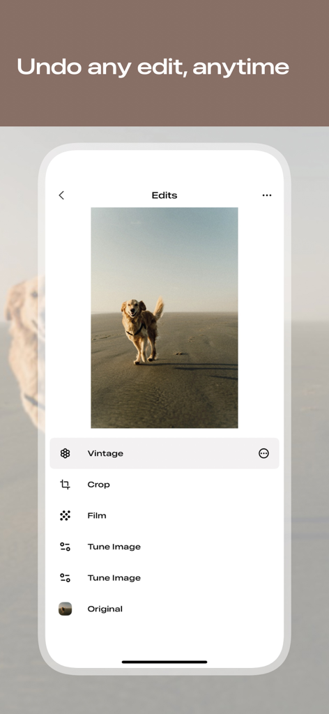Uma interface móvel mostrando a pilha de edição do Snapseed com uma lista de filtros aplicados como Vintage e Film sobre uma foto de um cachorro