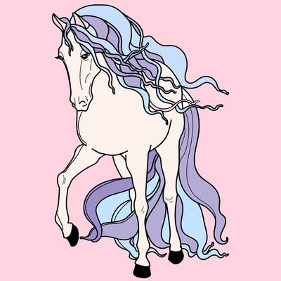 animals_11