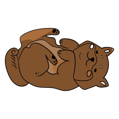 animals_30