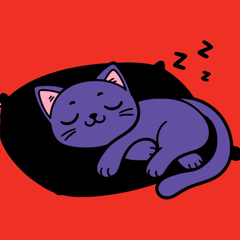 catnap