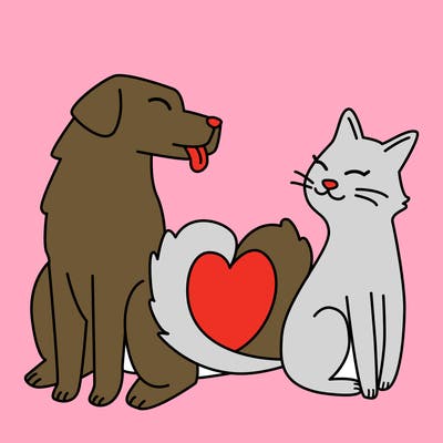 animals_22