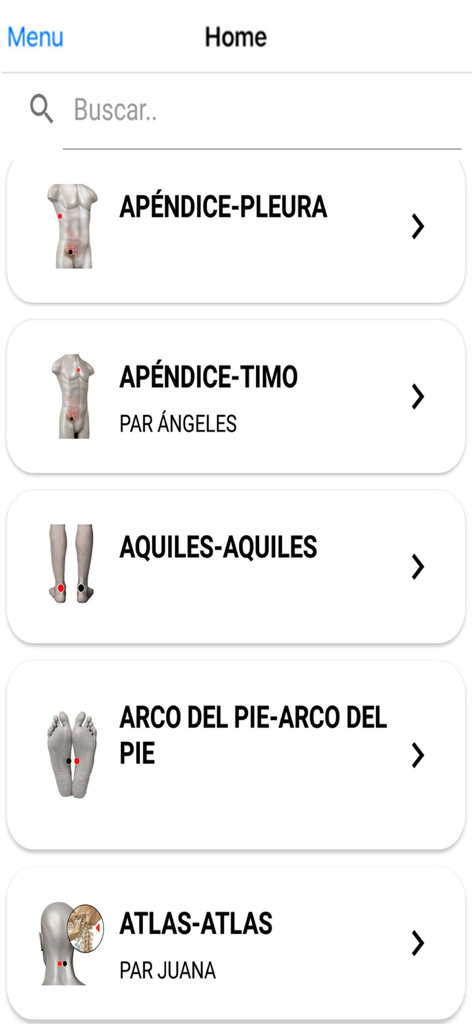 Biomagnetismo - Interfaz de la aplicación Biomagnetismo que muestra una lista de pares de biomagnetismo buscables con diagramas de colocación anatómica