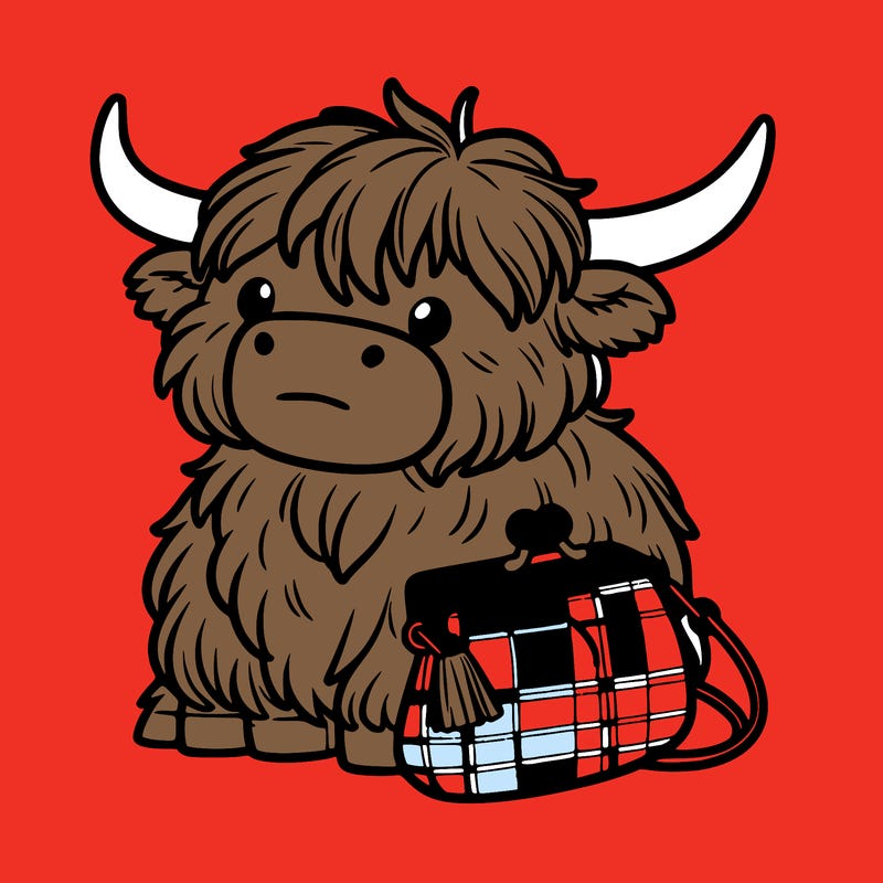 highland cow in a purse