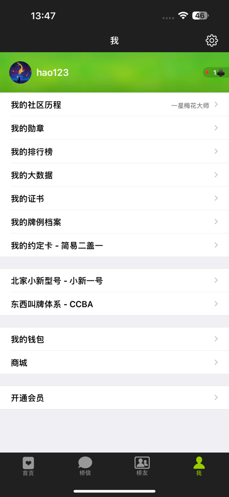 新睿桥牌 - Benutzerprofilbildschirm der Xinrui Bridge App, der persönliche Konto-Einstellungen und Spielstatistiken auf Chinesisch anzeigt