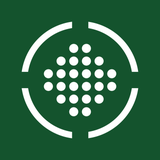 AI Caddy: Scratch AI