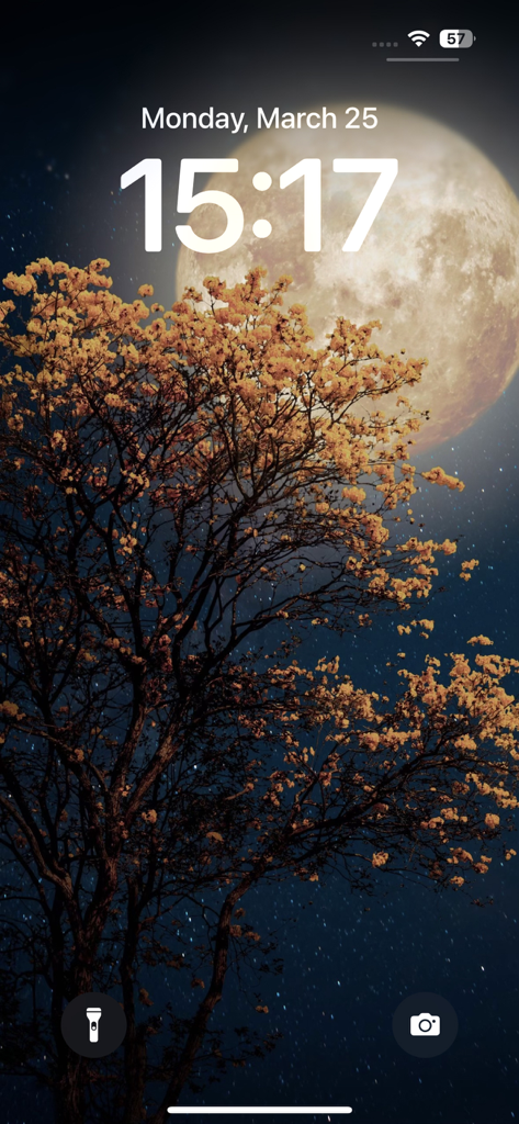 iPhone lock screen showing an aesthetic high definition wallpaper of a full moon behind a golden tree at night