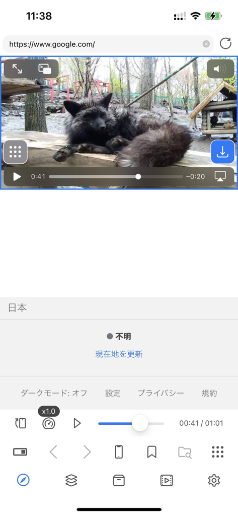 Video Saver & Player / iCap - Oberfläche der iCap Video Saver und Player App, die ein Video in einem Browser mit Download-Optionen anzeigt