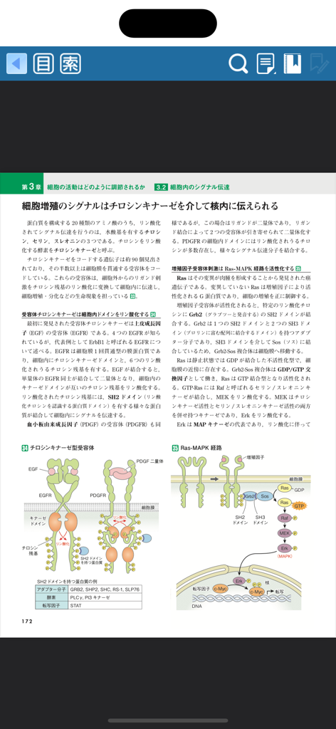 Textbook page in Japanese explaining cell proliferation signaling with anatomical diagrams of receptors and pathways.