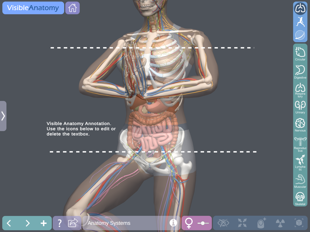 Visible Anatomy - A 3D human anatomy model in a yoga pose showing integrated skeletal muscular and digestive systems with annotation features