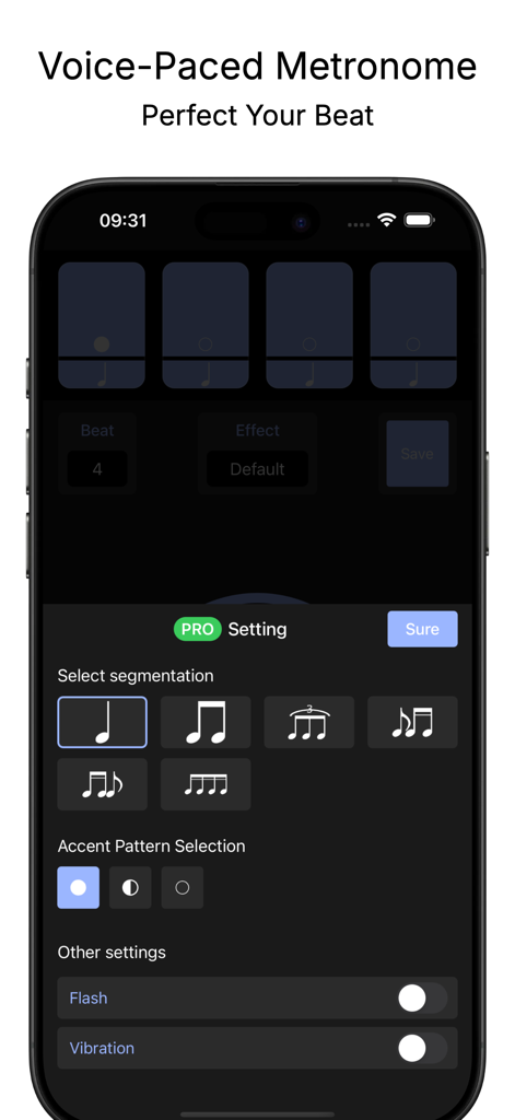 Vocal Metronome - Vocal Metronome app interface showing pro settings for rhythm segmentation and accent patterns