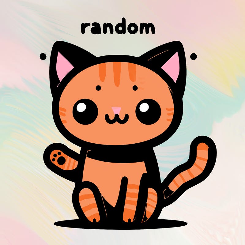 random cat