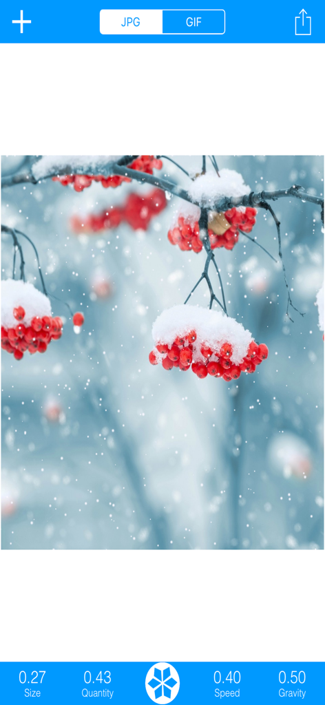 Snowing: GIF&JPG - Mobile app interface of Snowing GIF and JPG showing a winter photo of red berries with adjustable snow filters and editing controls