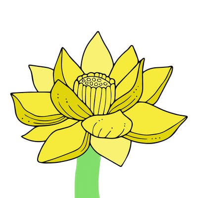 flowers_08