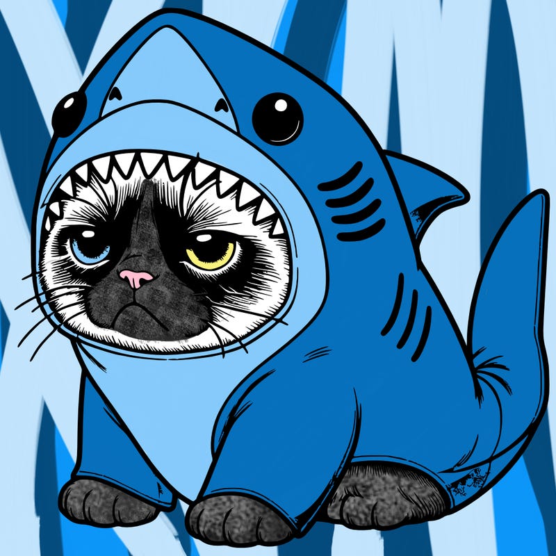 a realistic grumpy cat wearing a cute shark costume