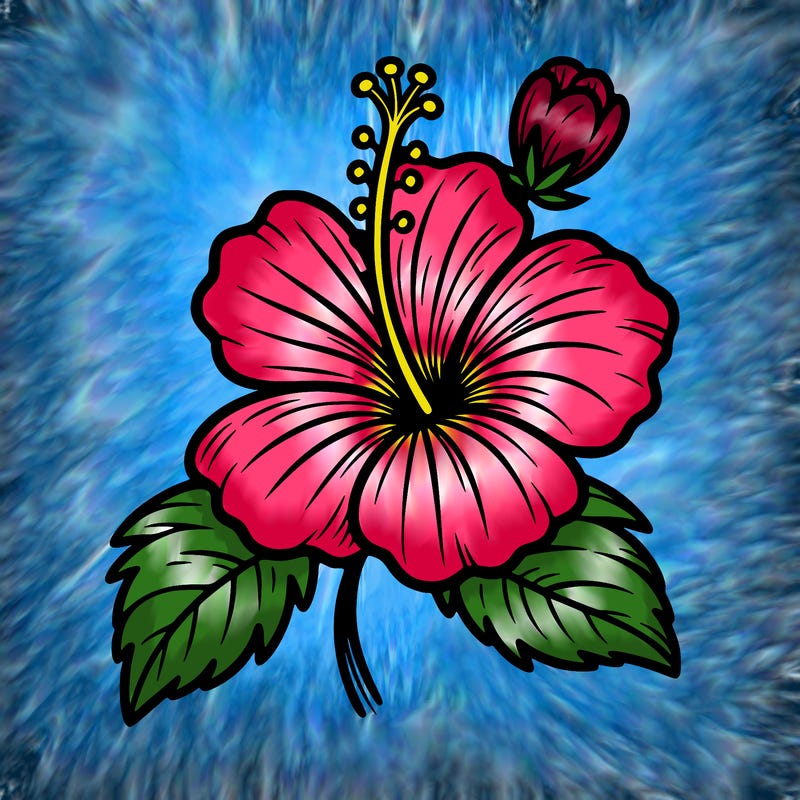 hibiscus flower