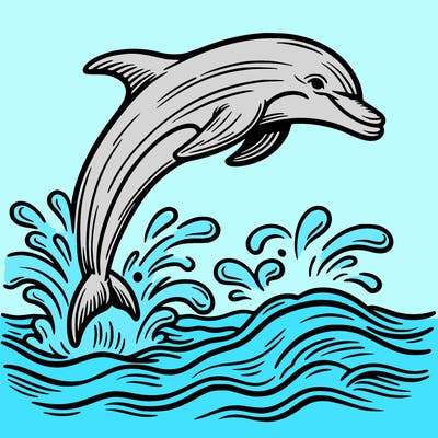 dolphin jumping