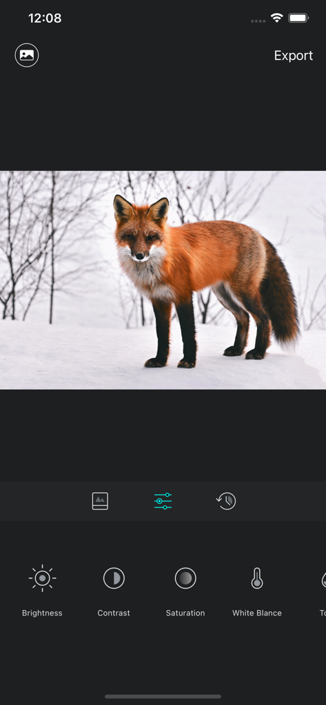 Luca - Photo Editor & Filters - Interface do editor de fotos Luca mostrando ferramentas de ajuste profissional como brilho e contraste ao editar uma foto de uma raposa